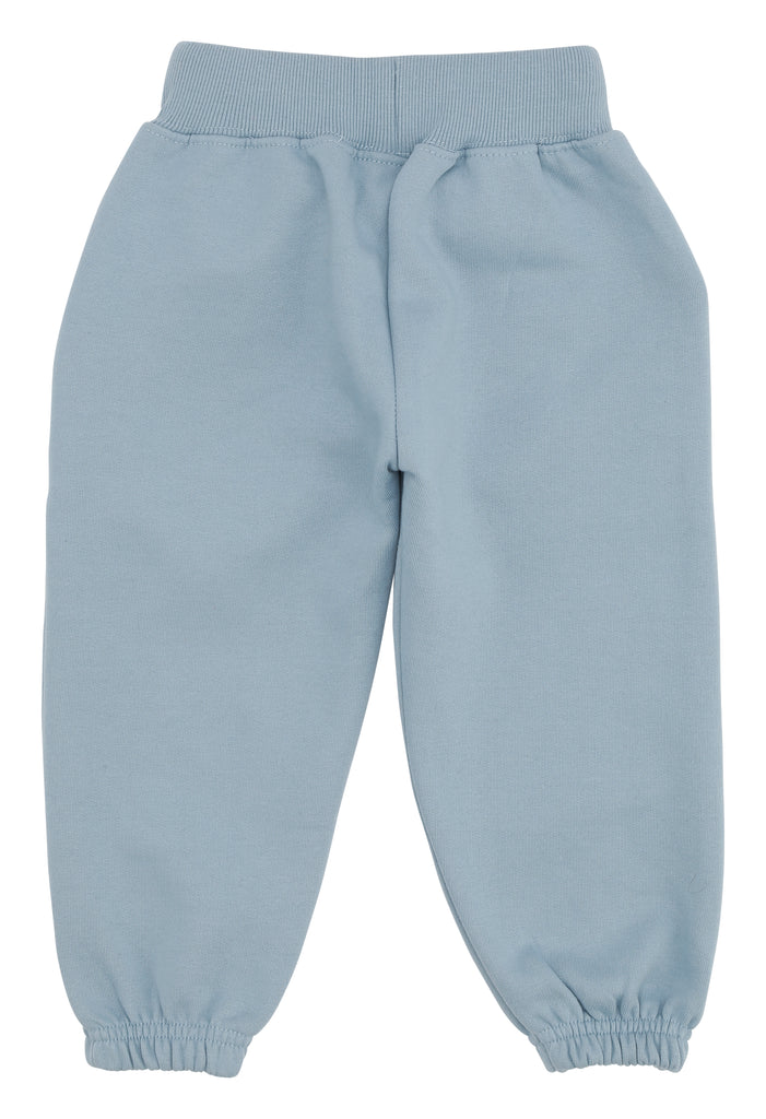 back_Dusty Blue