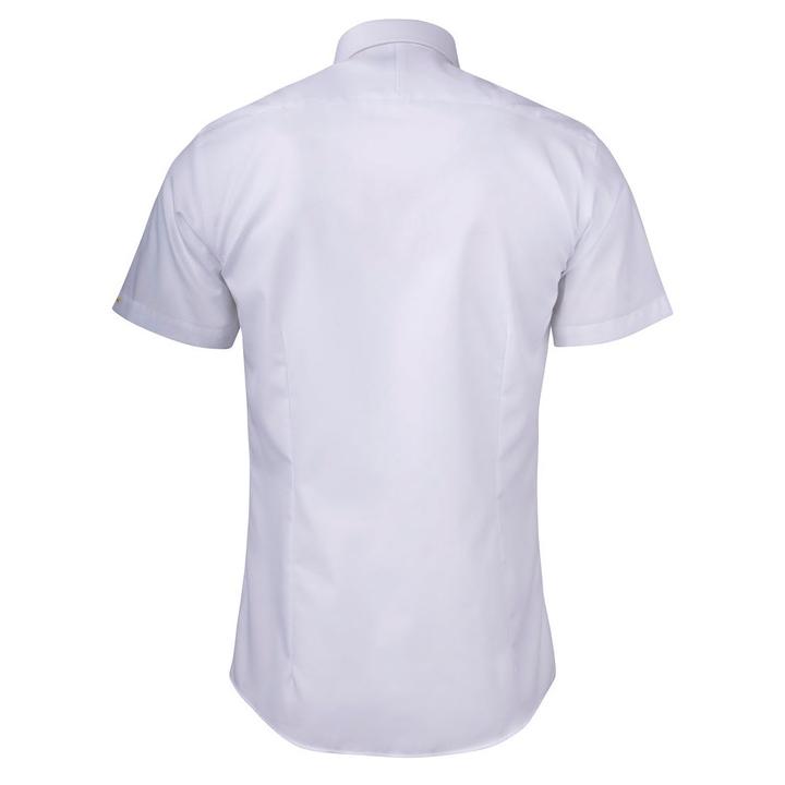 back_White
