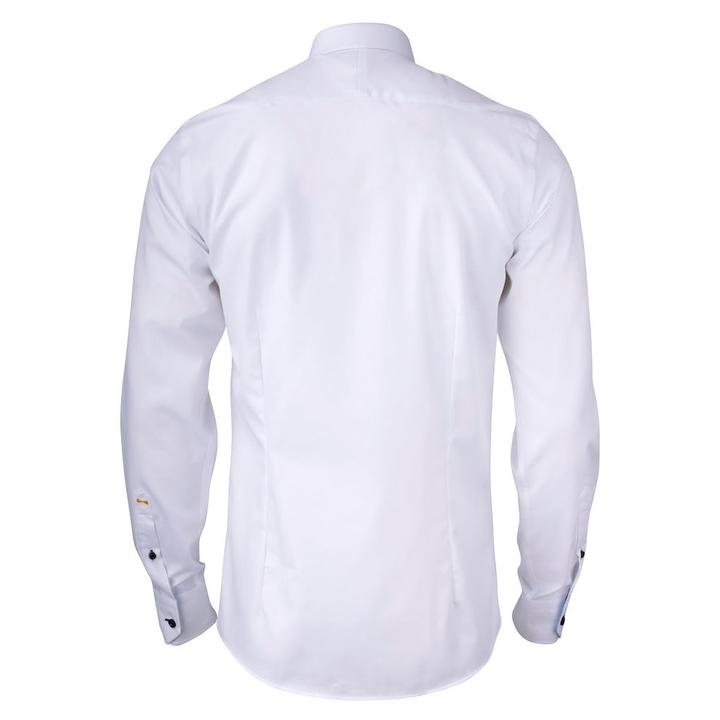 back_White