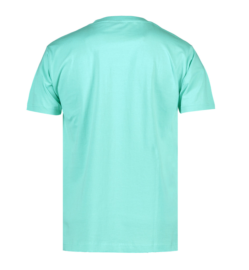 back_Mint